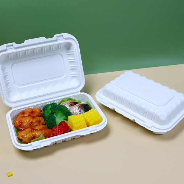 Hitray Disposable Plastic PP Takeout Food Conatiner 