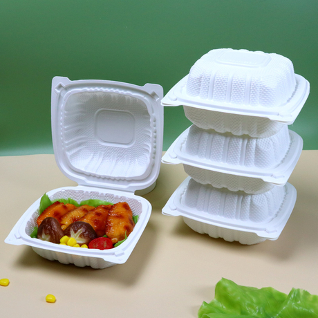 Hitray Pp Disposable Takeaway Food Boxes