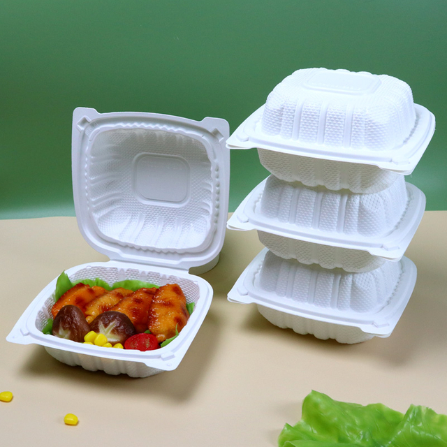 Hitray Pp Disposable Takeaway Food Boxes