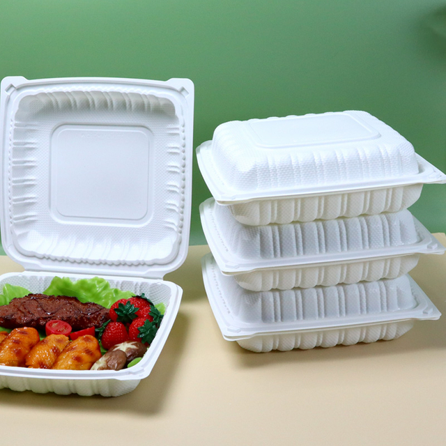 Hitray Pp Disposable Takeaway Food Boxes