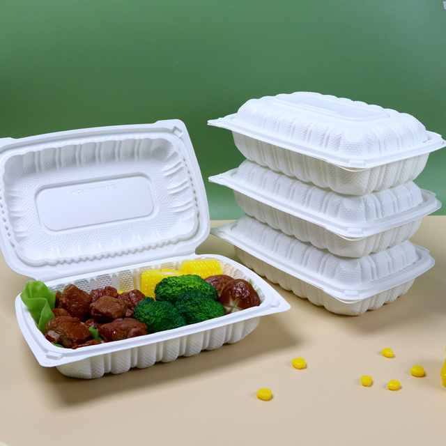 Hitray Rectangular PP Plastic Food Takeout Containers 