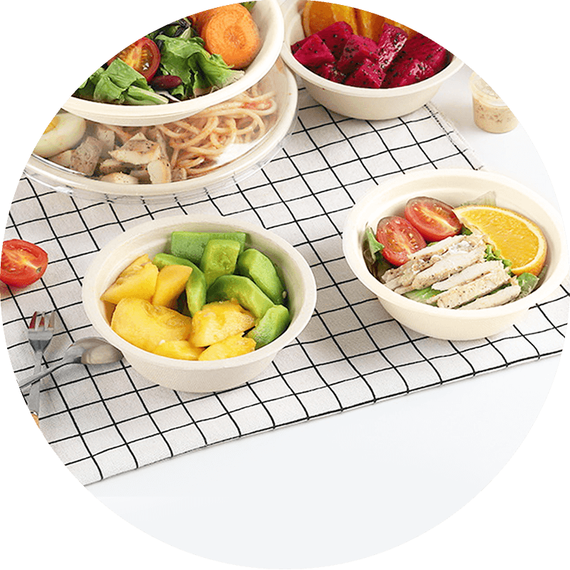Bagasse-Tray