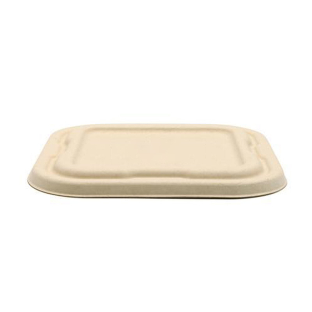 Hitray Compostable Biodegradable To Go Lunch Meal Takeaway Container 700ml Wholesale Disposable Sugarcane Bagasse Food Box