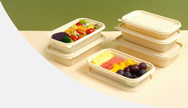 Hitray Small Size 350ML Rectangle Cornstarch Food Container