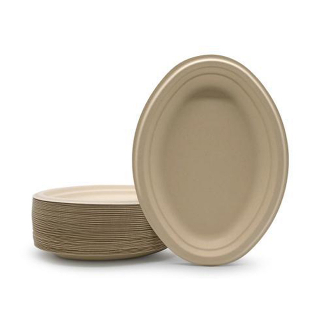 Hitray Oval Disc Bagasse Food Container