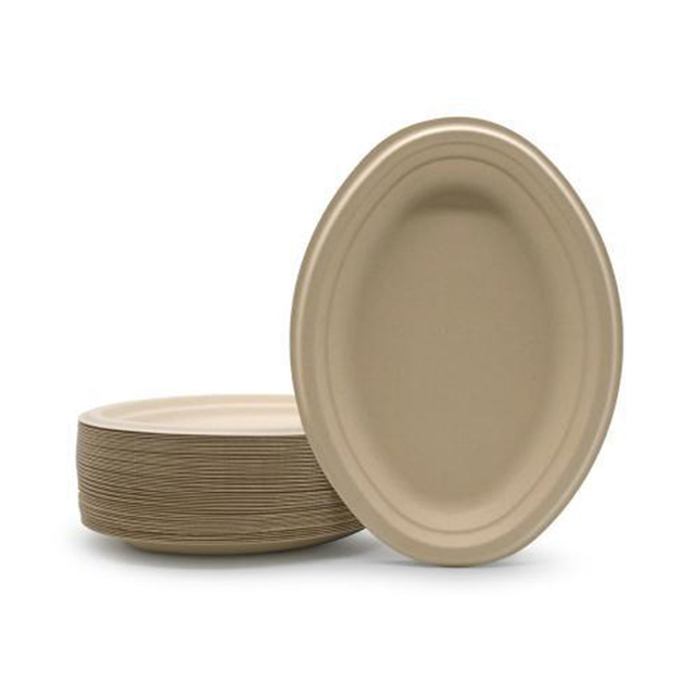 Hitray Oval Disc Bagasse Food Container