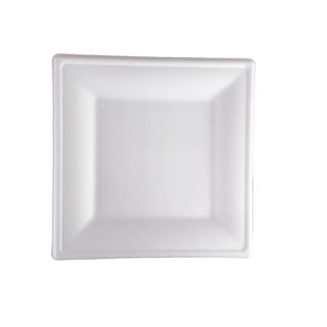 Hitray 10 Inch Square Plate Bagasse Food Container