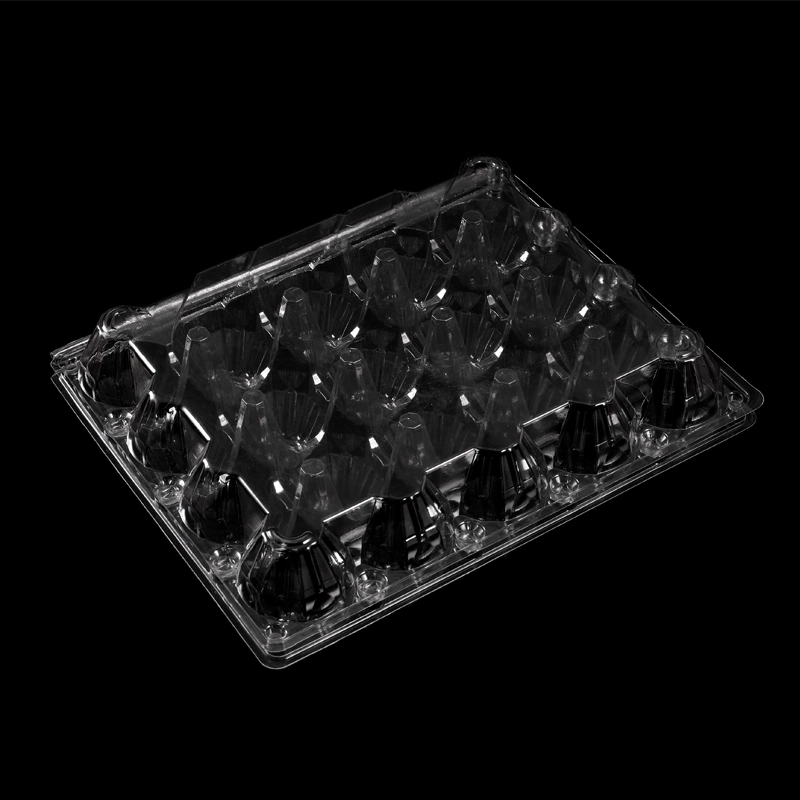 Hitray 20-Count Clear plastic egg karton